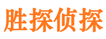 平阳寻人公司